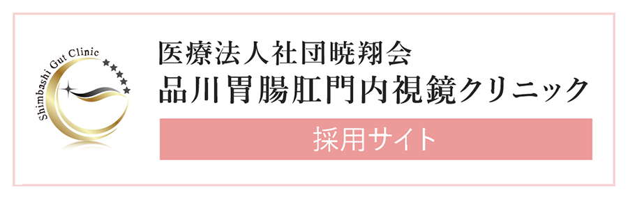 品川胃腸肛門内視鏡クリニック 採用サイト